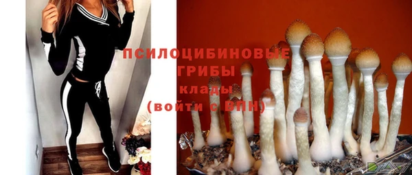 прущая мука Белокуриха