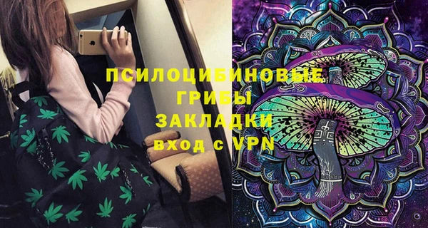 прущие грибы Балабаново